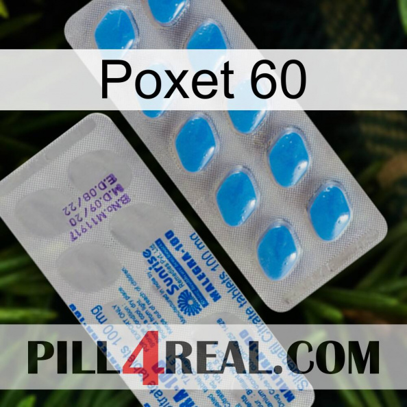 Poxet 60 new15.jpg